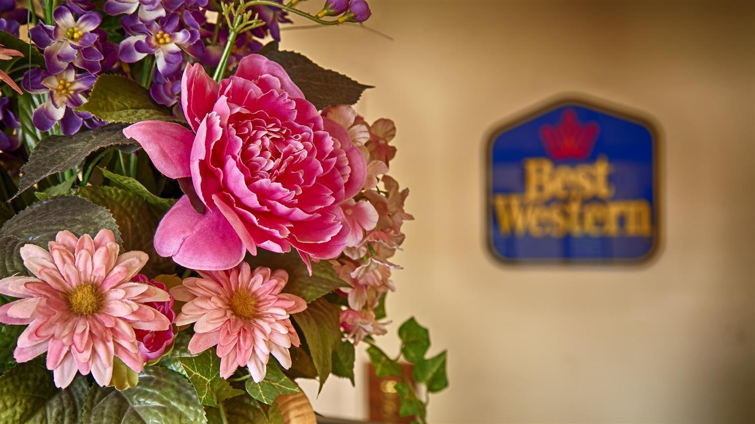 Best Western Executive Inn Marshall Dış mekan fotoğraf